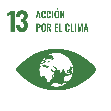 ods13